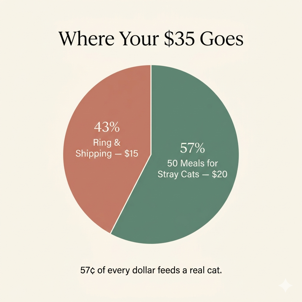 Feed 30 Stray Cats with the Resuce Ring