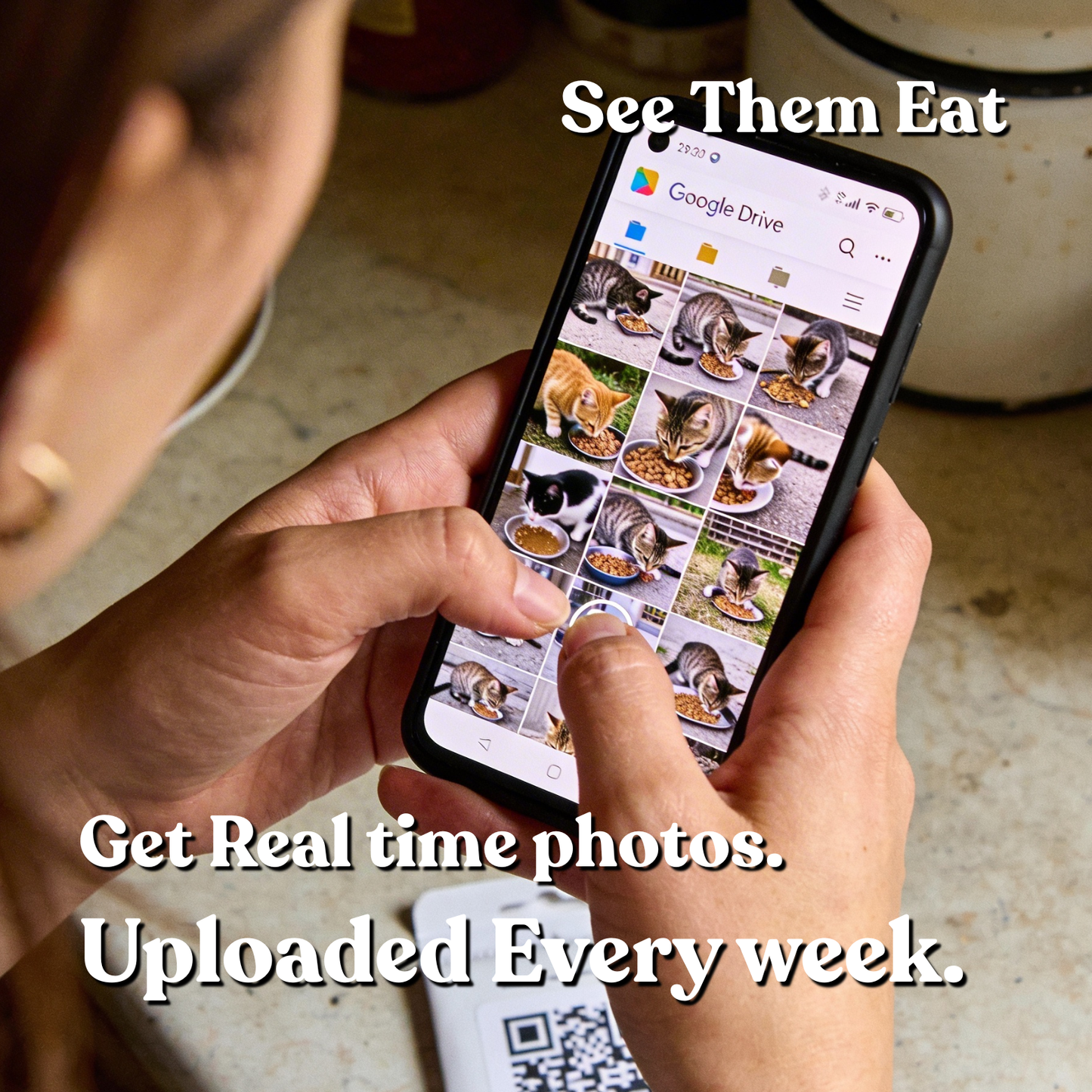 Feed 30 Stray Cats with the Resuce Ring