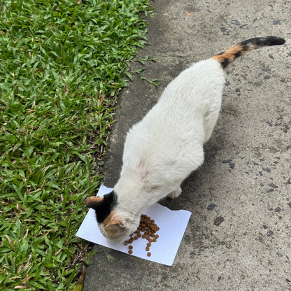 Feed 30 Stray Cats with the Resuce Ring