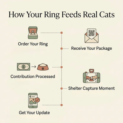 Feed 30 Stray Cats with the Resuce Ring