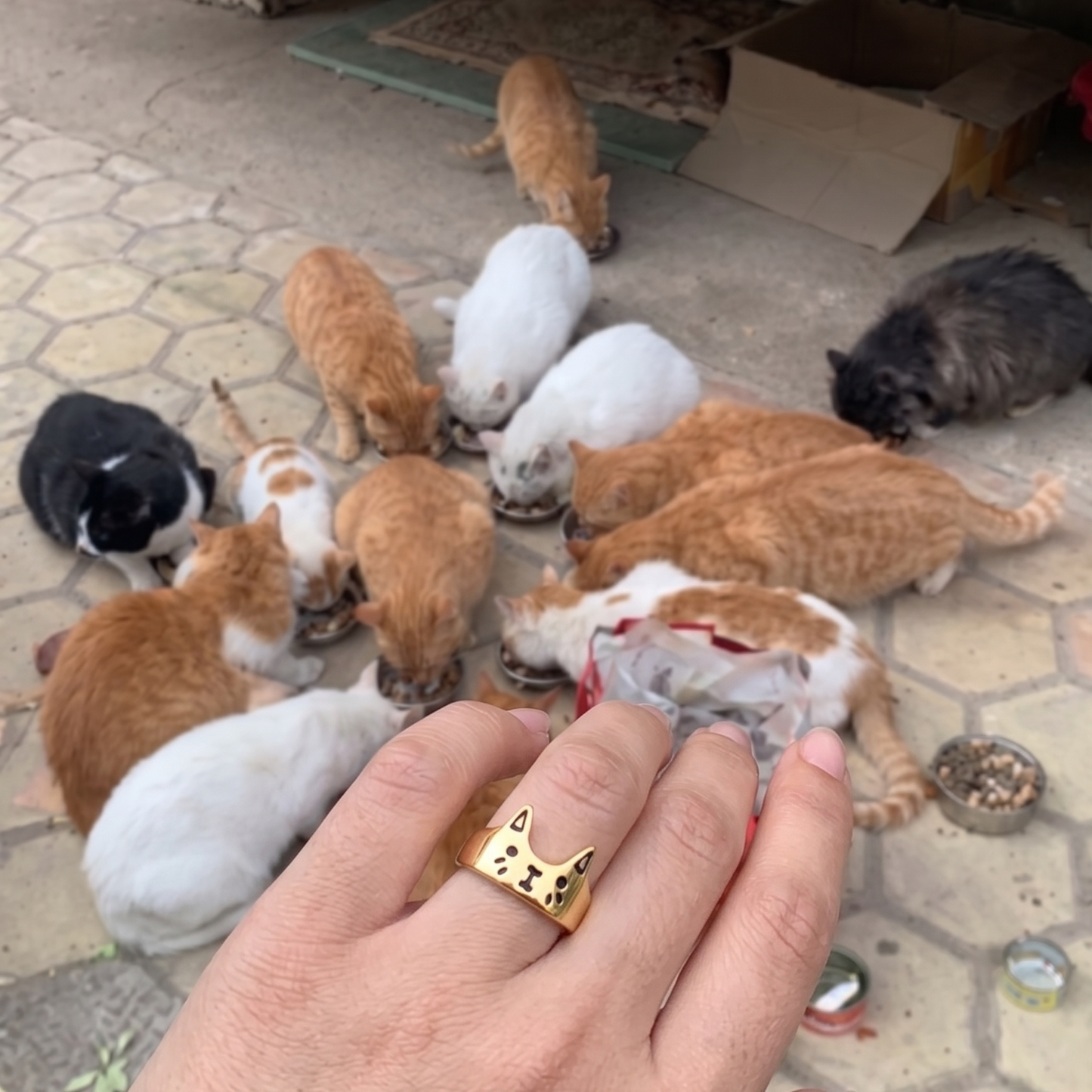 The Rescue Ring
