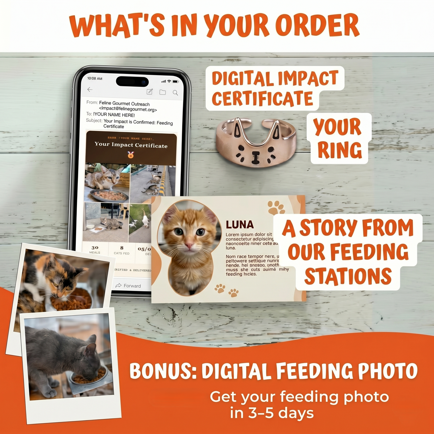 The Rescue Ring